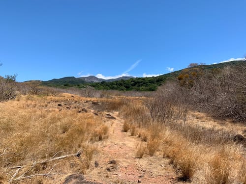 Las mejores rutas para ver fauna en Parque Nacional Rincón de la Vieja