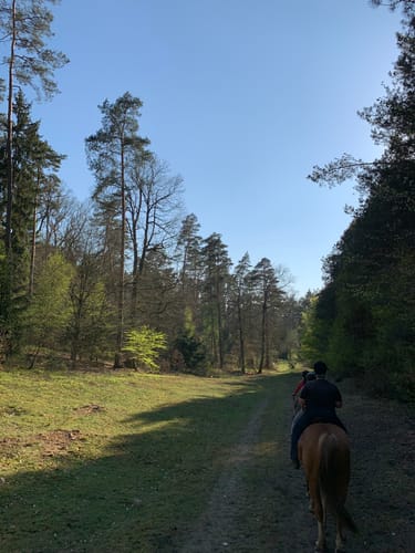 Taubenberg Rundweg