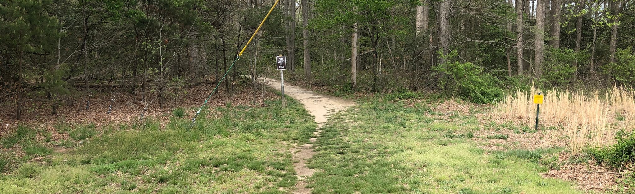 Tantrough Branch Loop, Delaware 237 Reviews, Map AllTrails