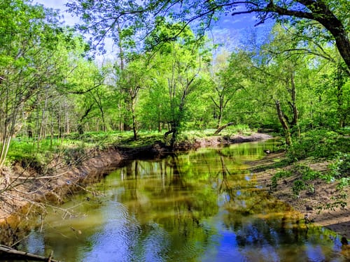 Bull Run Hiking Trail Best 10 Trails In Bull Run Regional Park | Alltrails