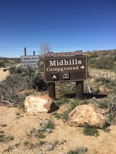 are dogs allowed in mojave national preserve