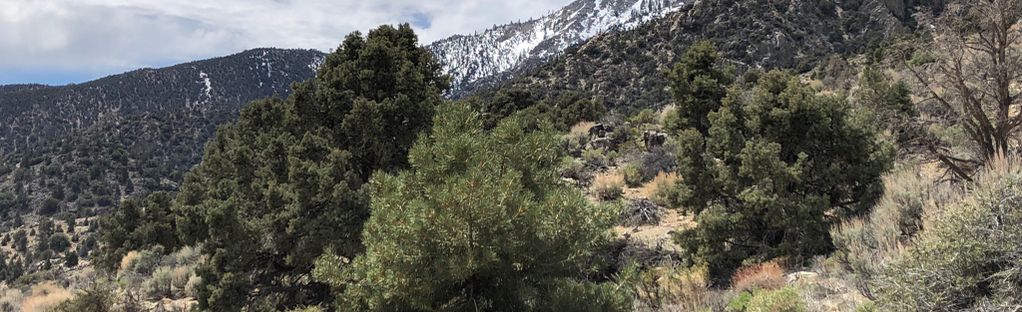 Olancha Peak, California - 45 Reviews, Map | AllTrails