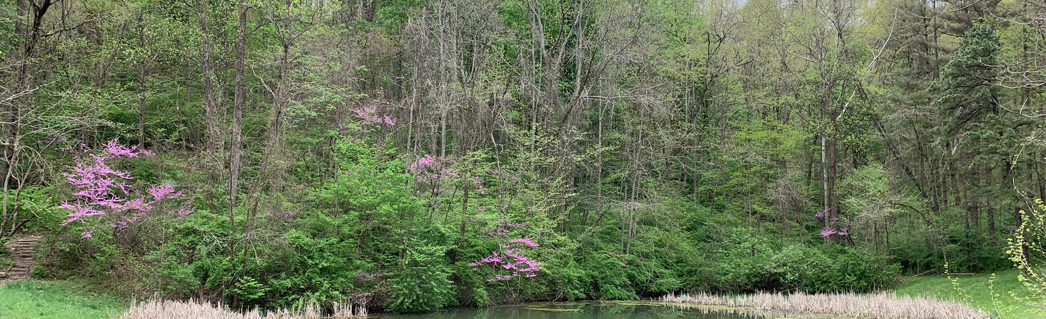 Rockhouse Trail and Athens Trail Loop, Ohio 357 Reviews, Map AllTrails