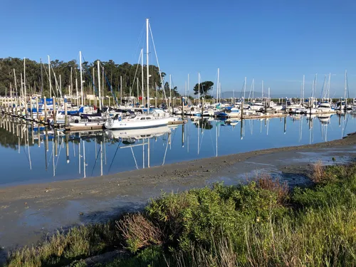 Best Hikes and Trails in Coyote Point Recreation Area | AllTrails