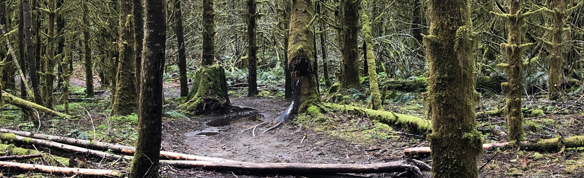 Lower Kearsley Creek Loop 3 Reviews, Map British Columbia, Canada