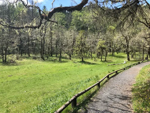 Best Wheelchair Friendly Trails - EyJidWNrZXQiOiJhc3NldHMuYWxsdHJhaWxzLmNvbSIsImtleSI6InVwbG9hZHMvcGhvdG8vaW1hZ2UvMjI0Nzk1MzgvZDM3MTU5OGVmMThjYWYxMjdjMWNjMGJiMzA5YThkMDUuanBnIiwiZWRpdHMiOnsidG9Gb3JtYXQiOiJ3ZWJwIiwicmVzaXplIjp7IndpZHRoIjo1MDAsImhlaWdodCI6NTAwLCJmaXQiOiJpbnNpZGUifSwicm90YXRlIjpudWxsLCJqcGVnIjp7InRyZWxsaXNRdWFudGlzYXRpb24iOnRydWUsIm92ZXJzaG9vdERlcmluZ2luZyI6dHJ1ZSwib3B0aW1pc2VTY2FucyI6dHJ1ZSwicXVhbnRpc2F0aW9uVGFibGUiOjN9fX0=