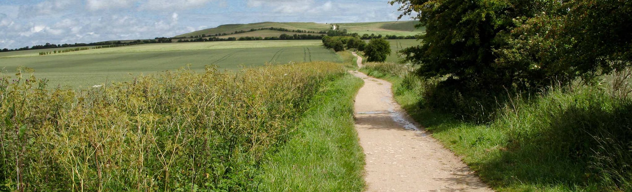 White Horse Hill and Vale of White Horse 15 Reviews, Map Oxfordshire
