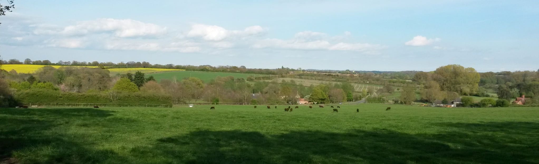 Lavenham and Brent Eleigh, Suffolk, England 151 Reviews, Map AllTrails