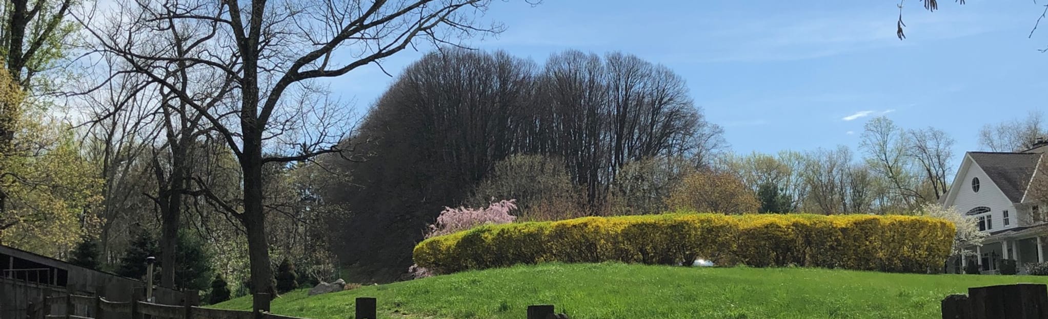 AllTrails Lucy's Loop 355 Reviews, Map New York