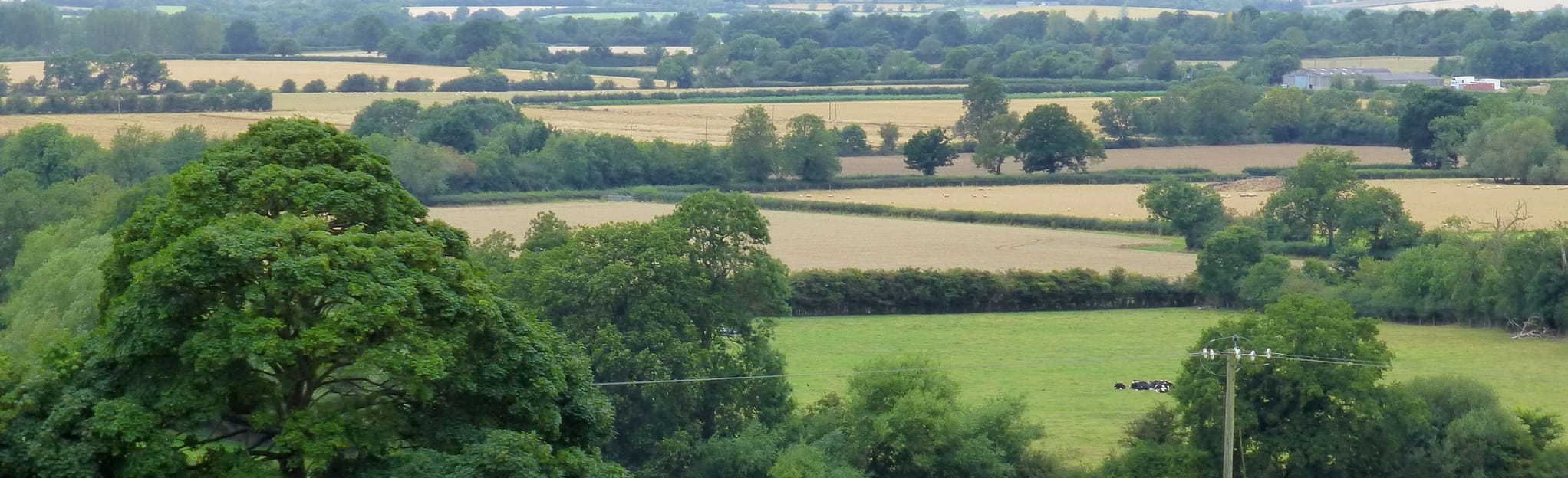 Millennium Way Claydon and Upper Boddington, Oxfordshire, England 6