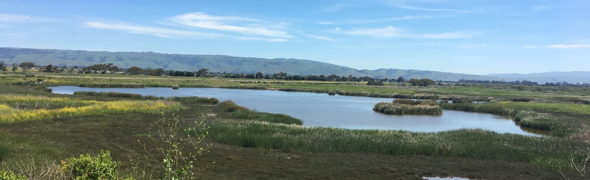 Bayview and Meadowlark Trail Loop 1,462 Reviews, Map California