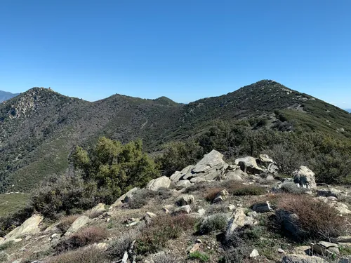 Best Forest Trails in Santa Rosa and San Jacinto Mountains National ...