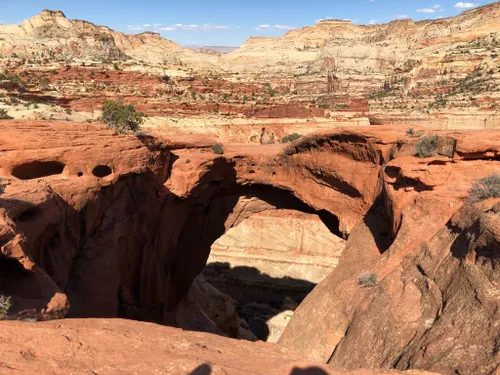 10 Best Hard Trails in Capitol Reef National Park AllTrails