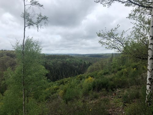 Wildnis Trail Etappe 4: Heimbach - Zerkall