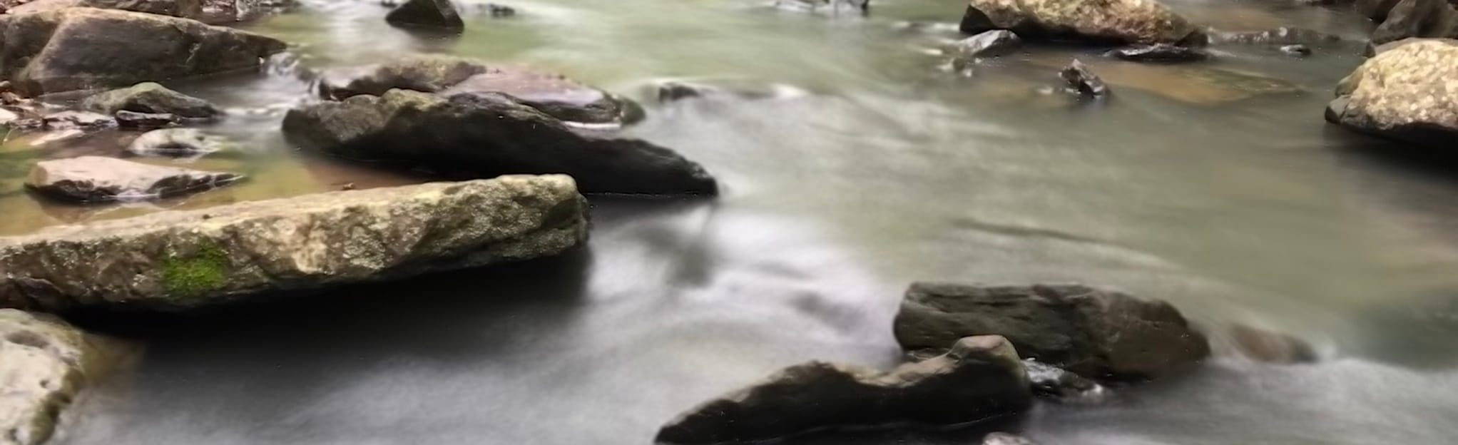 Homestead Trail , Arkansas 224 Reviews, Map AllTrails