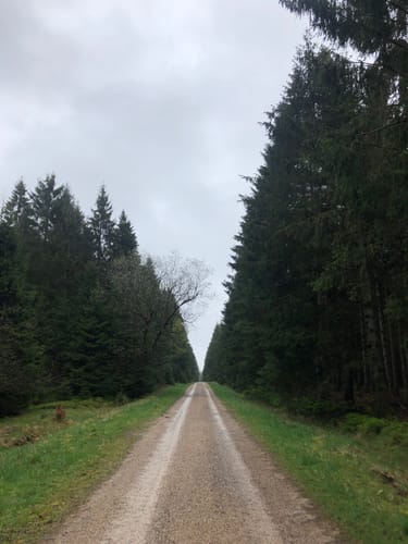 Loipe Wahlerscheid