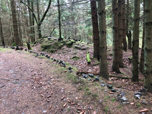 Wildnis Trail Etappe 1: Höfen - Einruhr