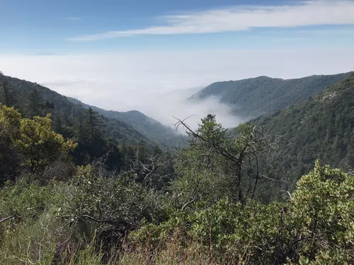 10 Best Trails and Hikes in Sierra Madre | AllTrails