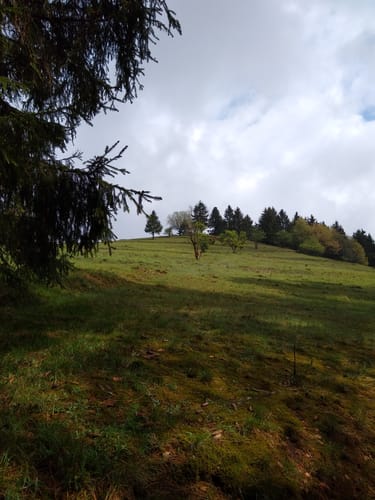 Langenbach Rundweg