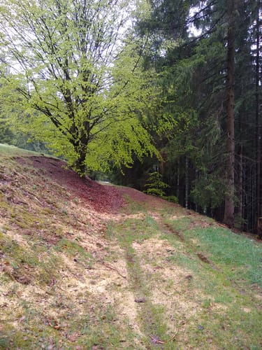 Langenbach Rundweg