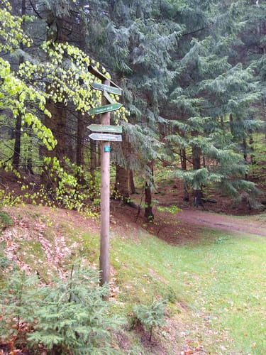 Langenbach Rundweg