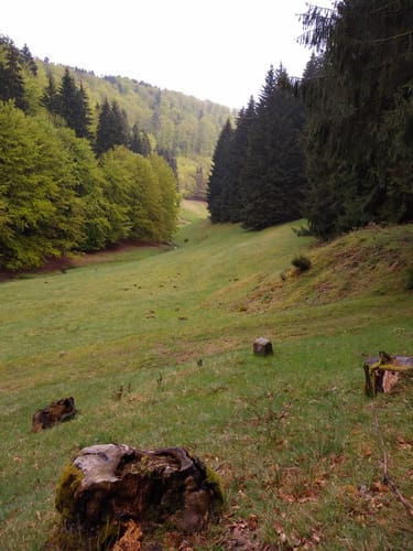 Langenbach Rundweg