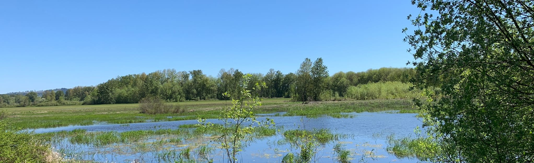 Ankeny National Wildlife Refuge Rail Trail Loop 130 Reviews, Map