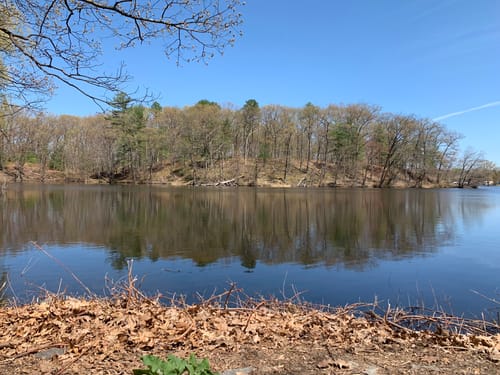 Best hikes and trails in Horn Pond Recreation Area | AllTrails