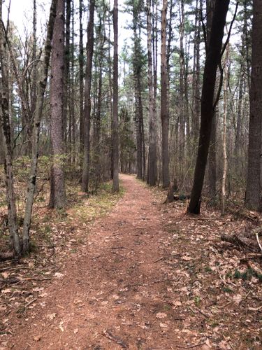 Best 10 Trails in Great Brook Farm State Park | AllTrails