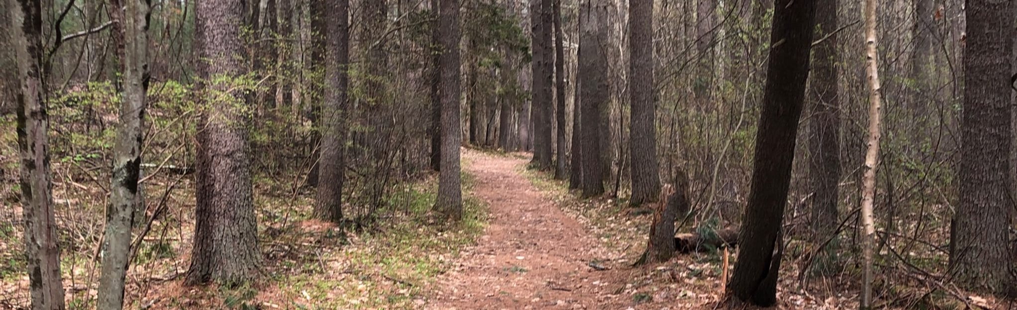 Great Brook Farm Woodchuck, Chicken, and Beaver Loop Trail