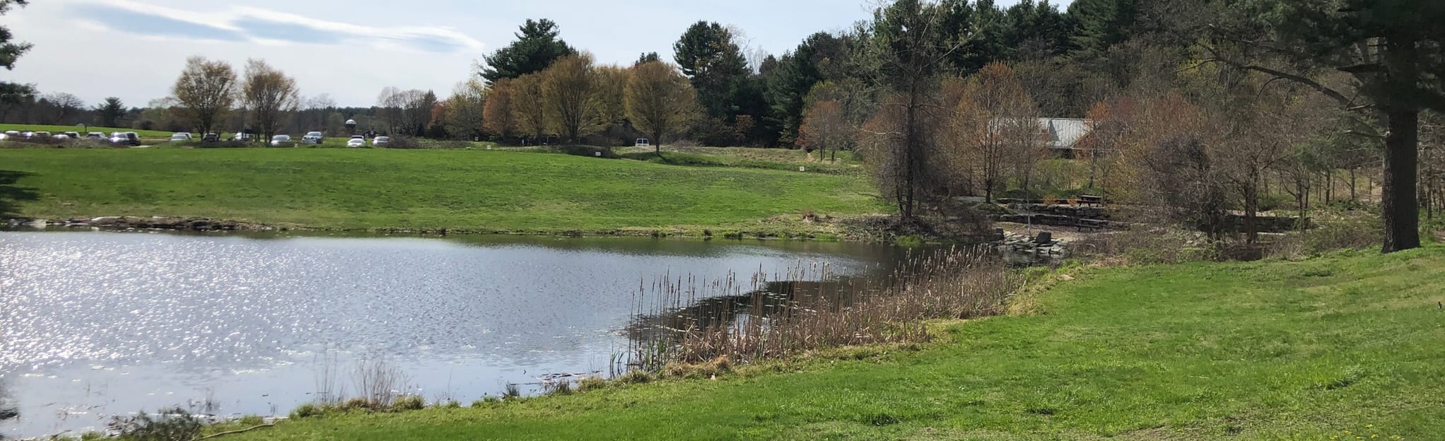 Great Brook Farm Woodchuck, Chicken, and Beaver Loop Trail 1705