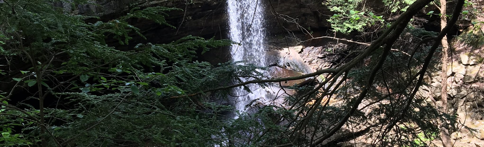 Laurel Falls Loop Trail Map, Guide Tennessee AllTrails