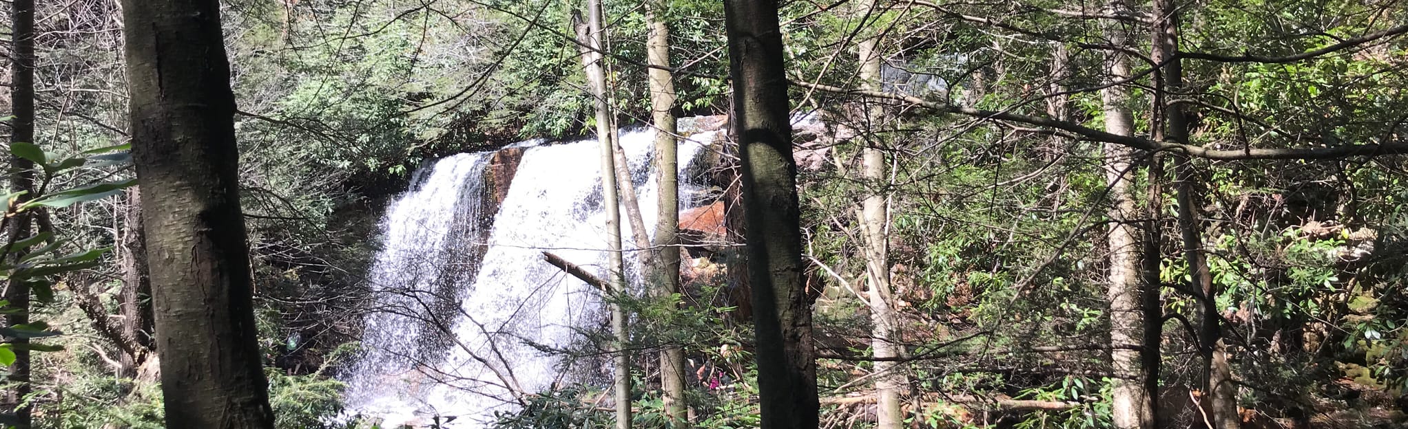 Cave Falls and Jim Thorpe Overlook 1460 Reviews, Map Pennsylvania