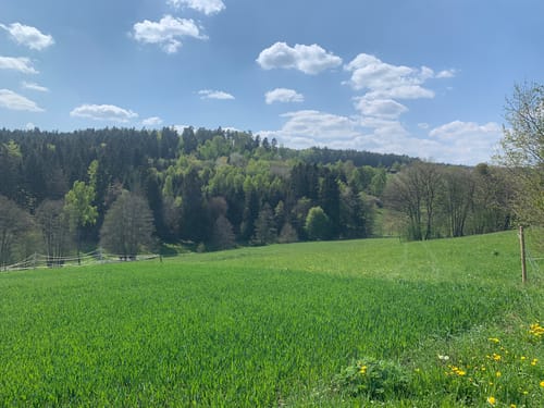 Von Bad Teinach nach Spesshardt