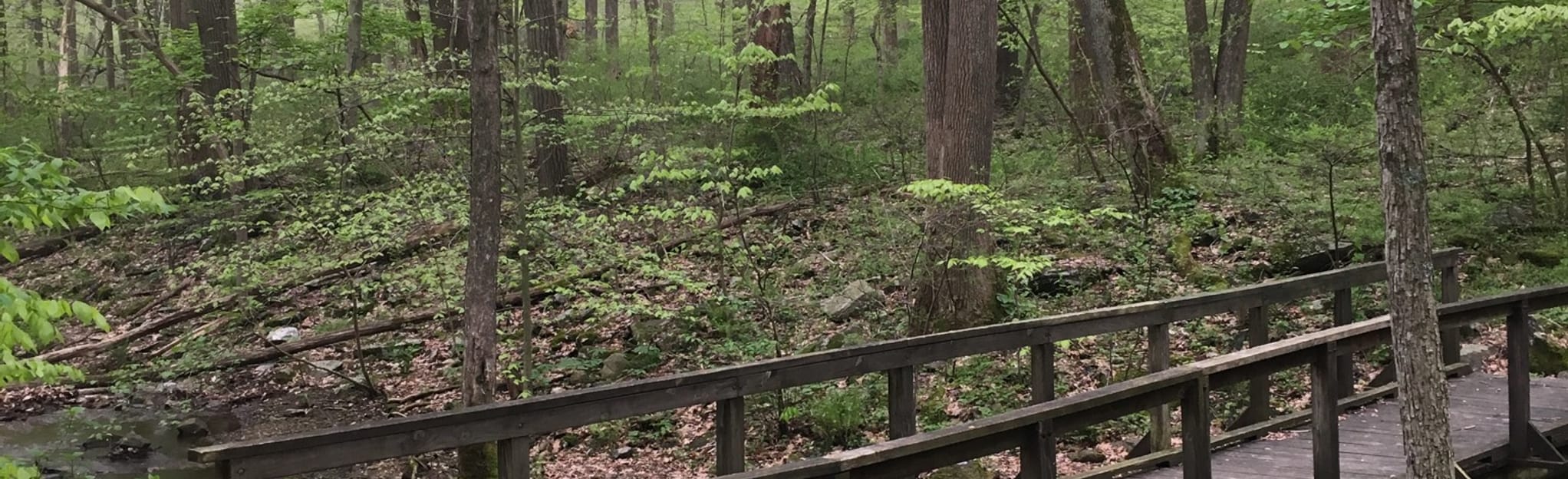 Deerfield Nature Trail Loop 48 Reviews, Map Maryland AllTrails