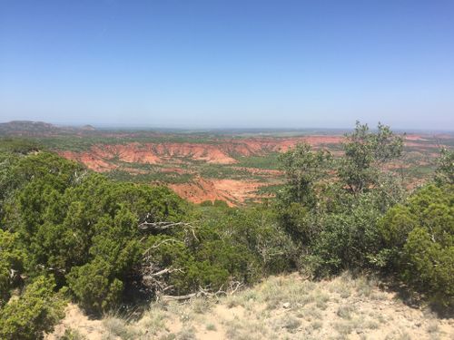 are dogs allowed at caprock canyon state park