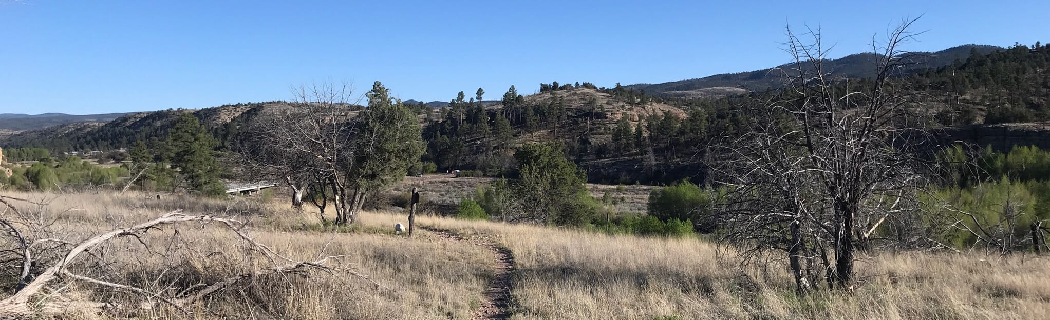 Little Bear Canyon Middle Fork Gila Loop Trail | Map, Guide - New ...