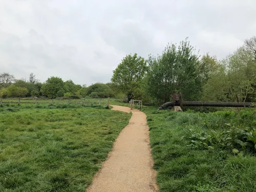 Best Hikes and Trails in Sandhurst Memorial Park | AllTrails