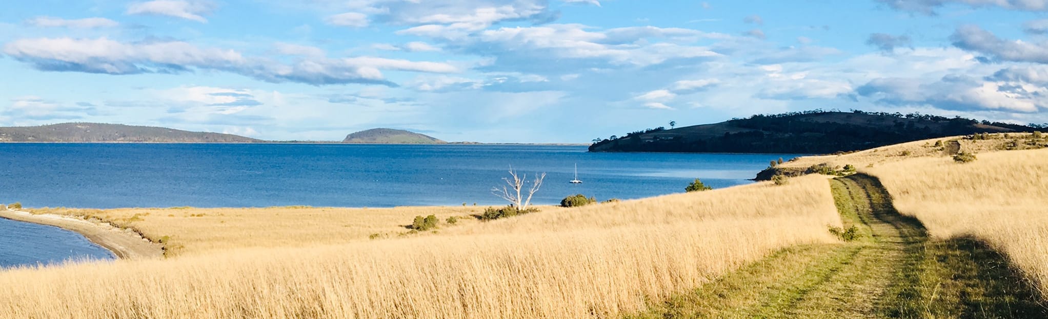 Opossum Bay Arm End Track 74 Reviews, Map Tasmania, Australia AllTrails