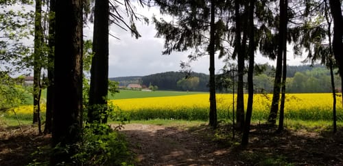 Buch am Erlbach Wasserturm