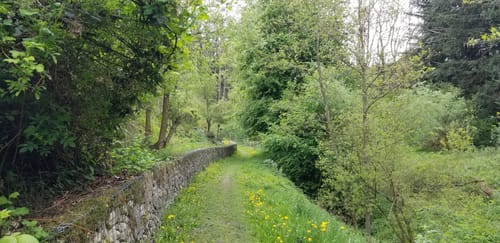 Buch am Erlbach Wasserturm