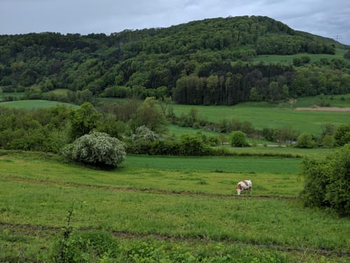 Kocher-Jagst-Trail Etappe 8: Braunsbach - Heimhausen