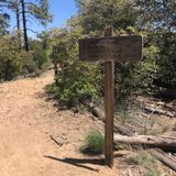 Prescott Circle Trail: Segment 04, Arizona - 169 Reviews, Map | AllTrails