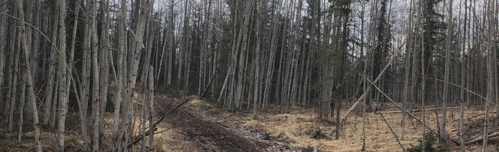 Marsh Lake 29 Reviews, Map Alaska AllTrails