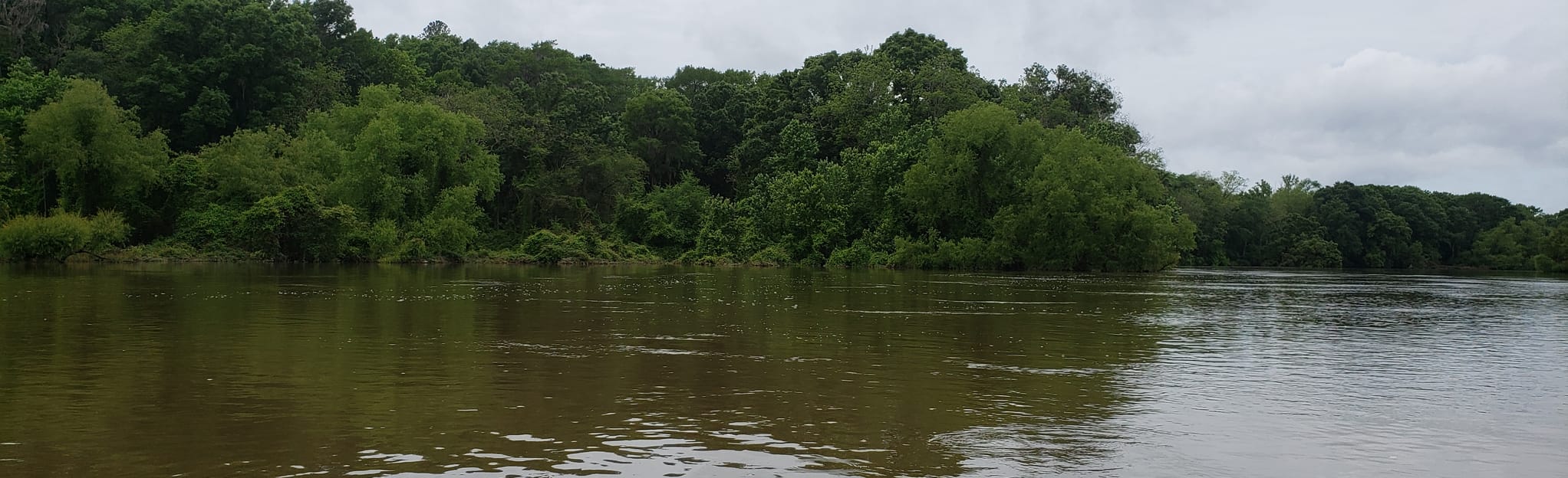 Altamaha River Paddling Route, 3 Reviews, Map AllTrails