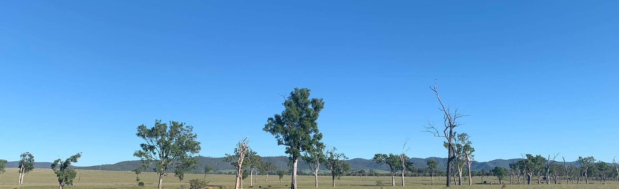 Brisbane Valley Rail Trail Toogoolawah to Esk 40 Reviews, Map