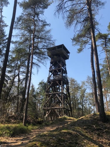 Taxölderner Schlucht zum Aussichtsturm Hirschberg
