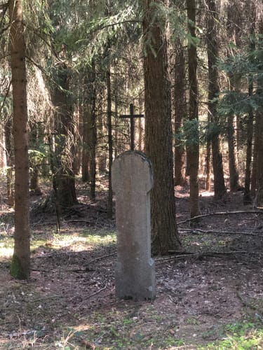 Rundweg zum Hirschberg Aussichtsturm 