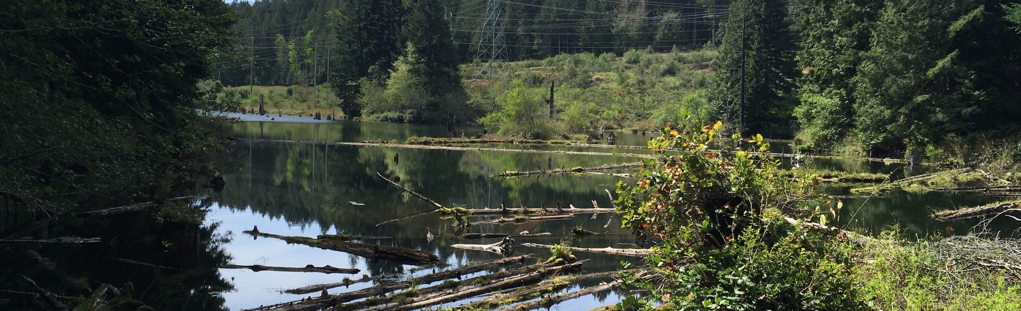 AllTrails Morrell Lake Loop 168 Reviews, Map British Columbia, Canada