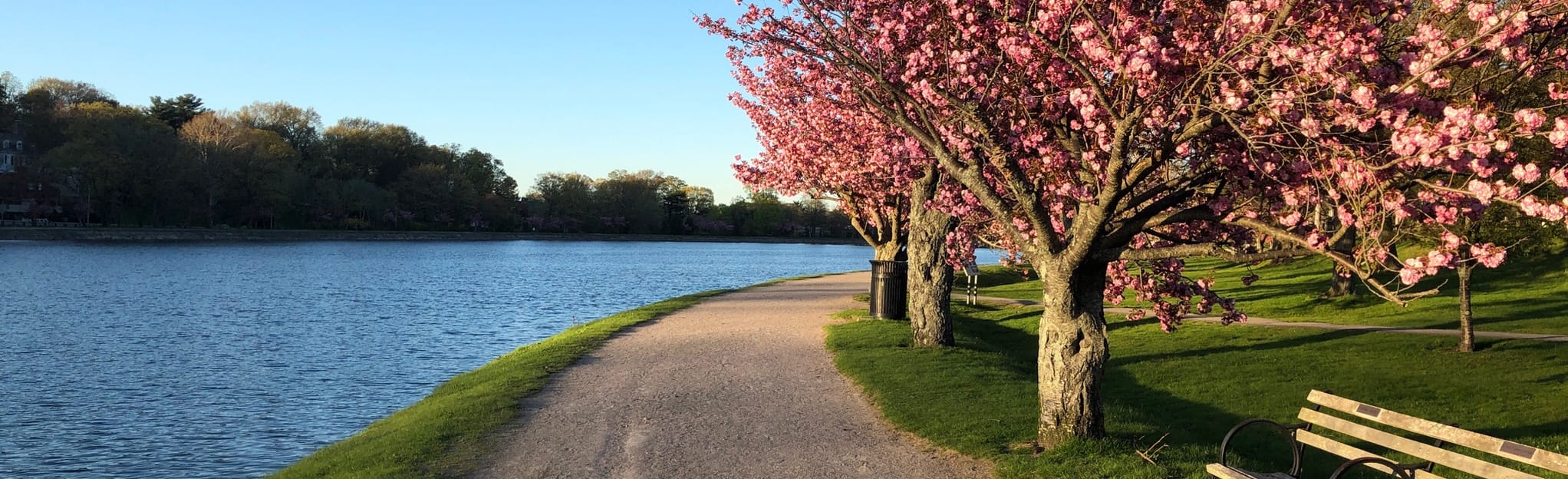 AllTrails Brookline Reservoir Park Trail 275 Reviews, Map